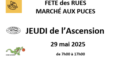 Fête des rues /Marché aux puces