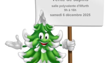 Vente de sapins