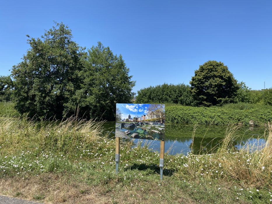 Festival Nature et Culture